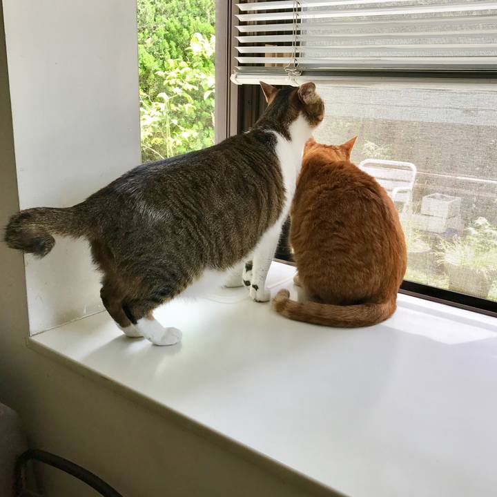 181c78d6 8058 4370 b289 76f1971eecb7