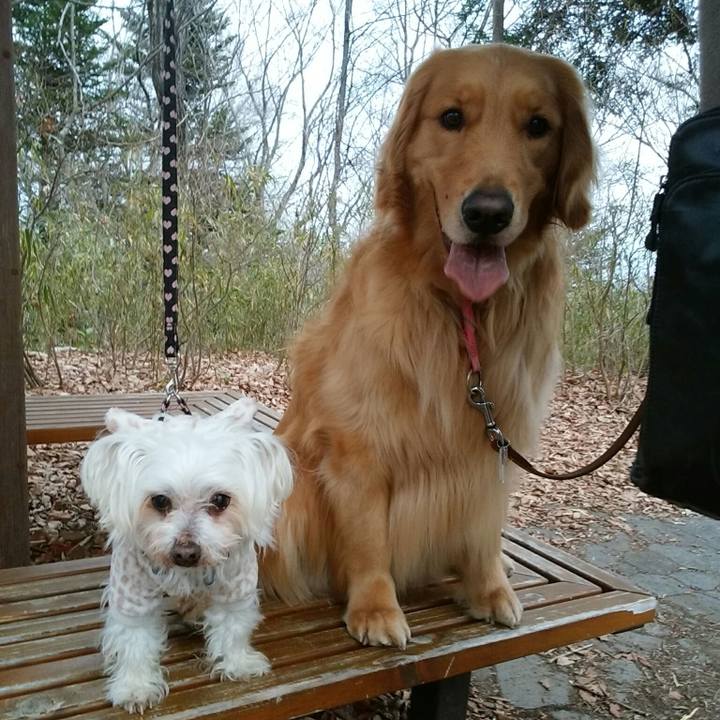 181d0487 7781 472b 8f81 87835057db70