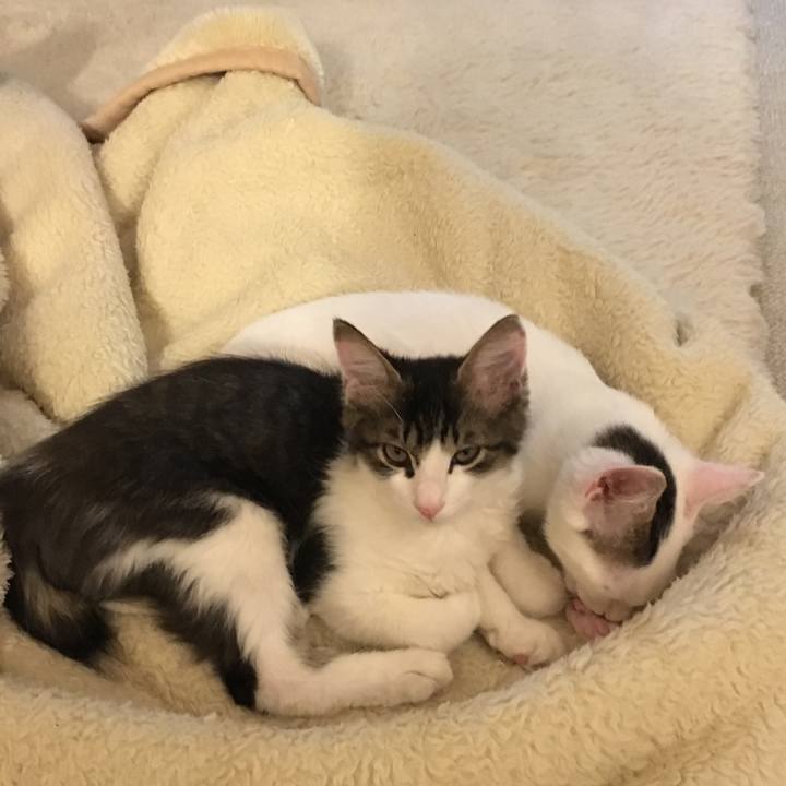 181d4337 2067 4f72 8640 eeecfca5a315