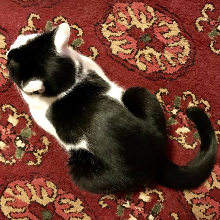 181d46d9 886a 4a4e 9edc aa6715801cad