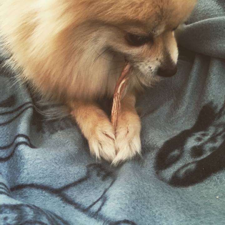 181d69ea 4cbe 448f 9a03 98dcbd92d2e4