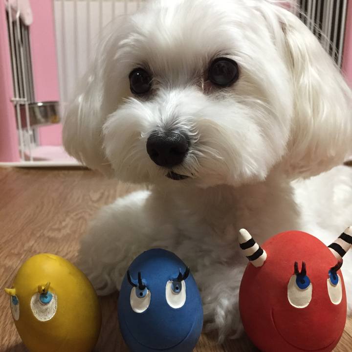 181e8f0b 2c65 4286 8d32 3caab1bda68a