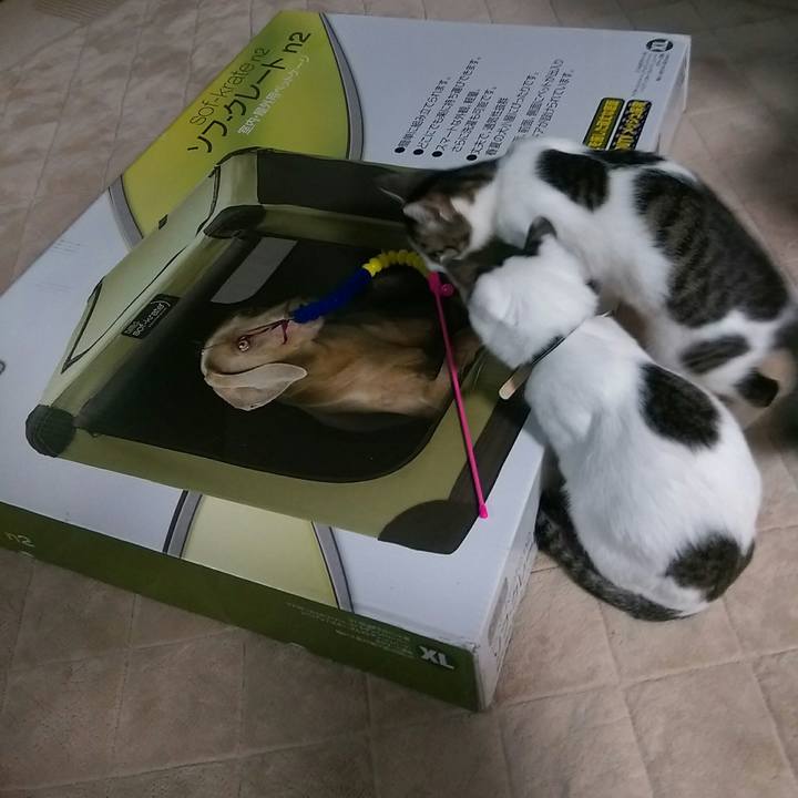 181ebf48 7071 410a bdfb 5d6914bea46f