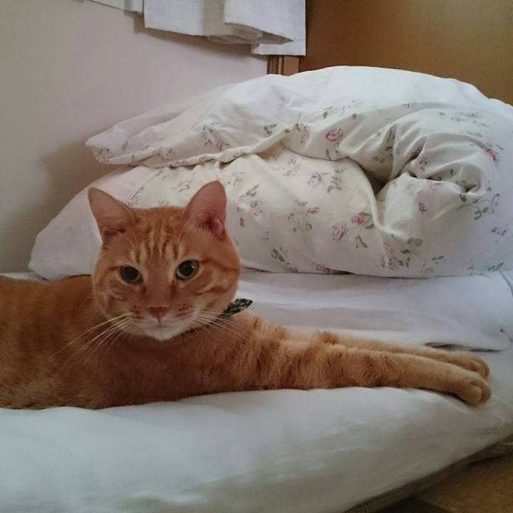 181ecfe2 ae36 4025 841c 2e2ef8044c3e