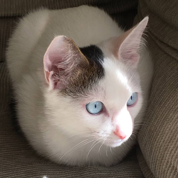 181ee037 a679 4d0c b140 f05627ef7c53