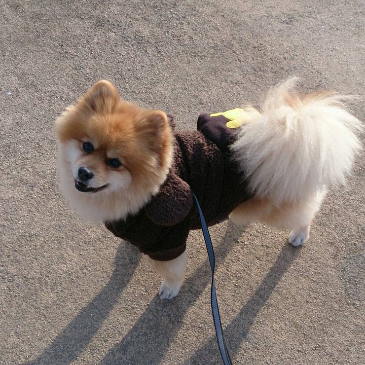 181ee1f5 64da 459e b5b9 a2e3eadc64ce