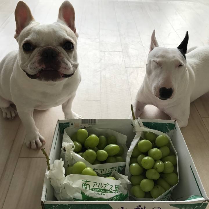 181f7d65 4830 456d 817e 3189f4639ca0