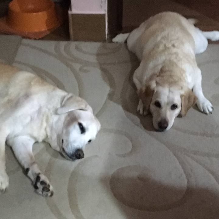 181fa574 35a7 4ab6 abb1 cf417c417b05