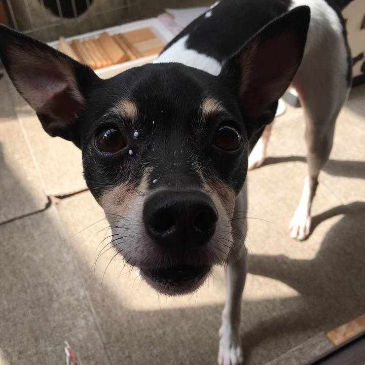 181facf6 63a6 4c60 98a8 e192c4d30bdb