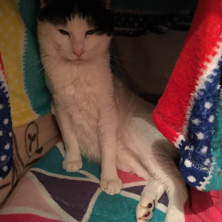 181fd9ef b6e6 4b20 a73e 57cf0ee2f09b