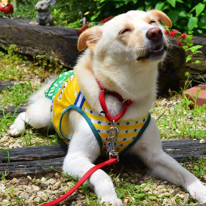 1820f24a 9de7 4640 968d bf05f2b4ef97