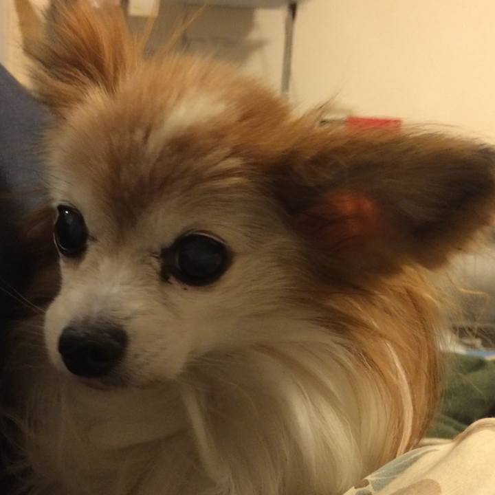 1820f5c7 48df 441f a379 0f2c813d1335