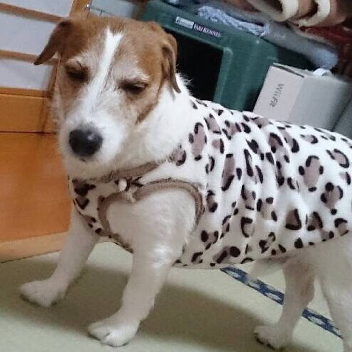 18214d11 2298 46d3 b685 02dbca63cf19