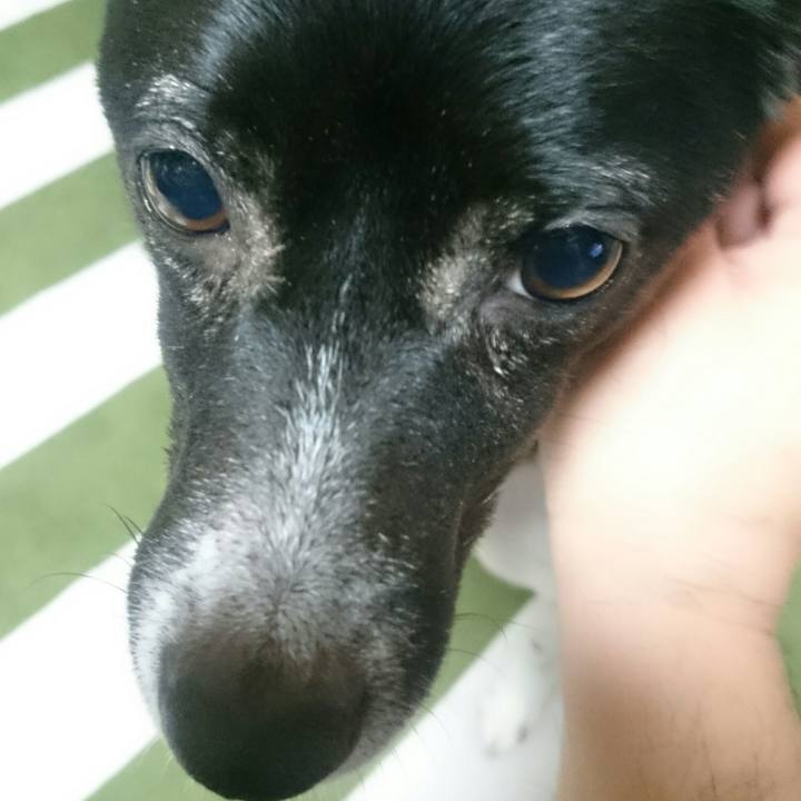 1822424a f79a 4999 9ff4 8a21e96947f2