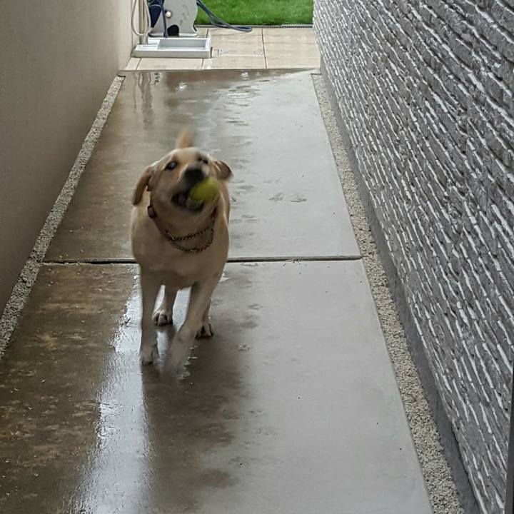 1822a048 bb6b 478b 91b3 a5085f4724d2