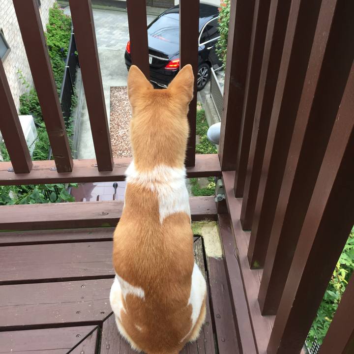 1822b788 fd11 43f2 9324 d65f87c491ca