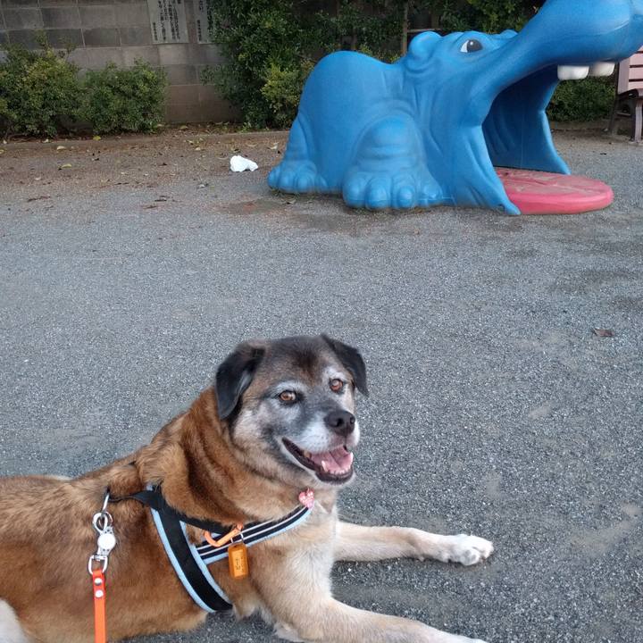 1822e898 cc8a 4931 ada0 cd0b6e08879a