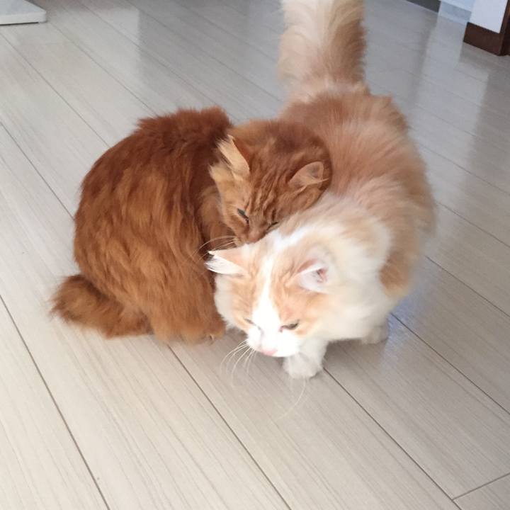 182331e5 e977 4542 a6c7 80079ee76769