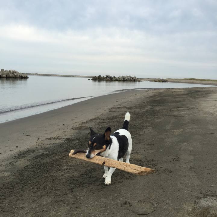 18241047 46bd 4e81 a0ec 2fd35347e5bf