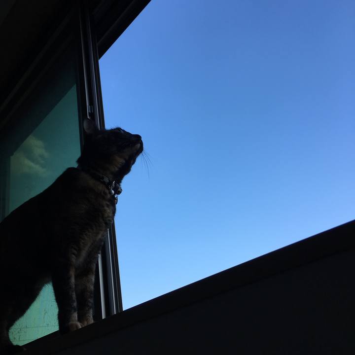 18247cd9 f419 45ff afc4 4f5e6710313c