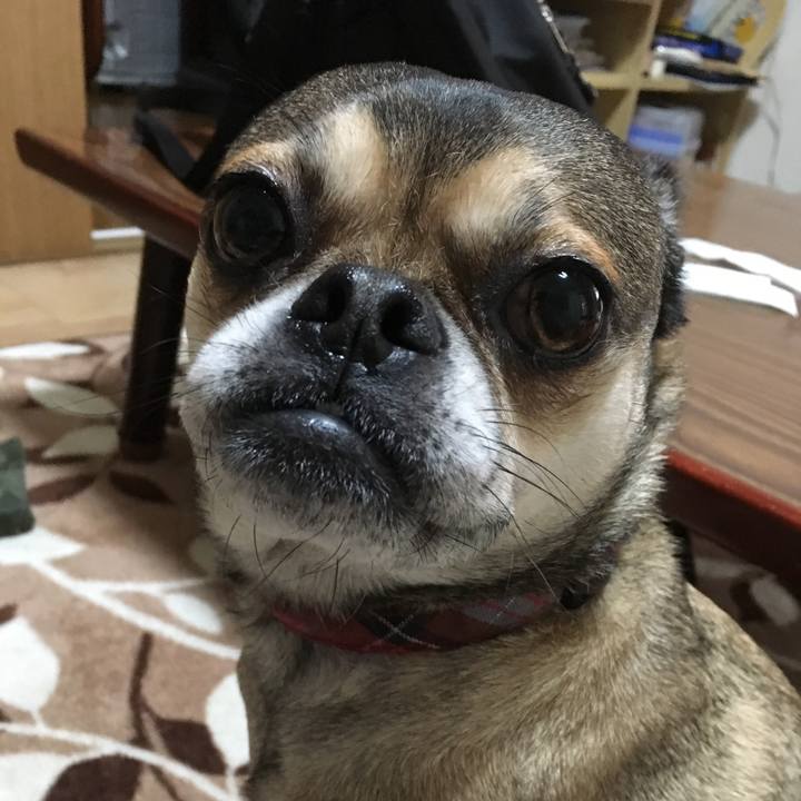 18249dd5 3529 4c33 80dd 3370d7590c86