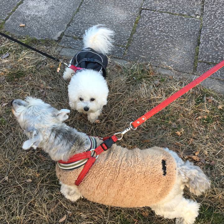 1824cfdf a005 4a9a 93cc 1e2ac9255a7f