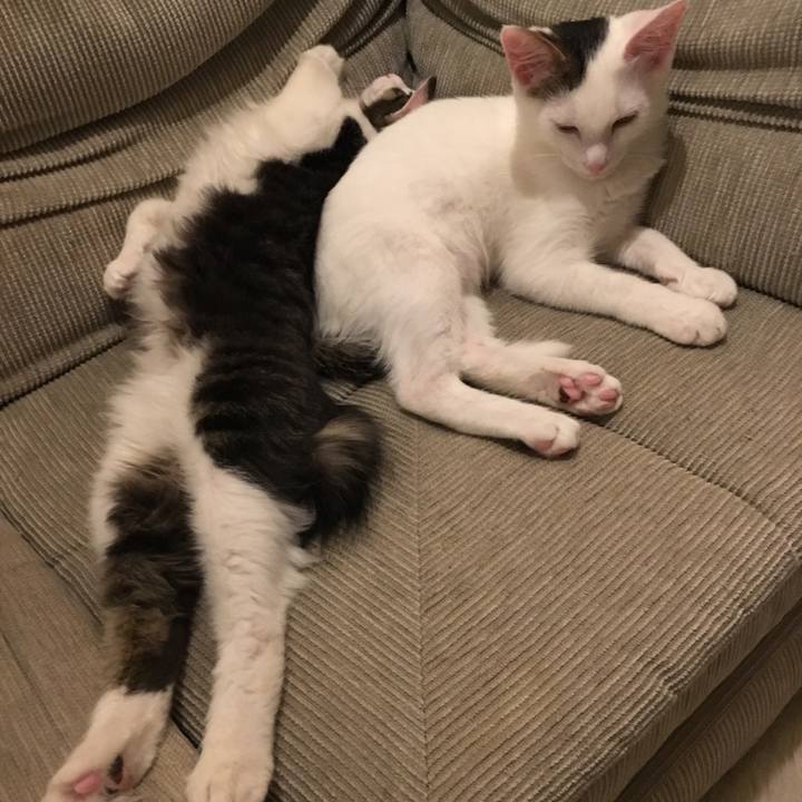 18256ecb 5f80 41bc 950b 1b1126a523fa