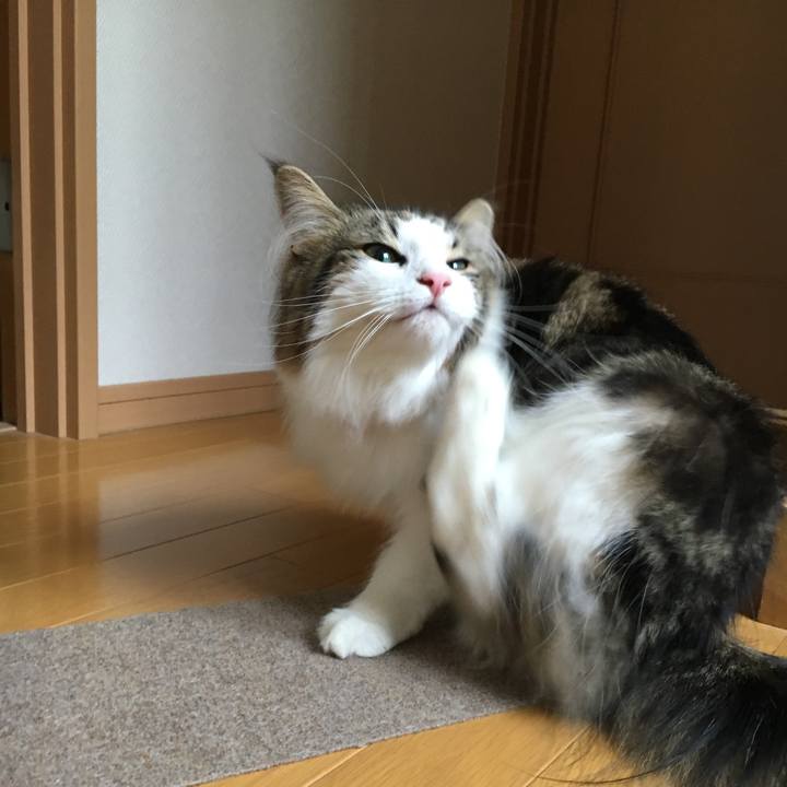 1825932d 9e49 4f9b 886c 34c618b2dc99