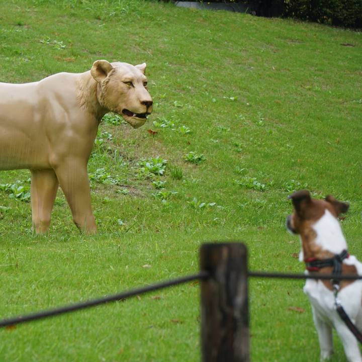 1825e65f c6d4 4556 8f66 dd67cc70a68c