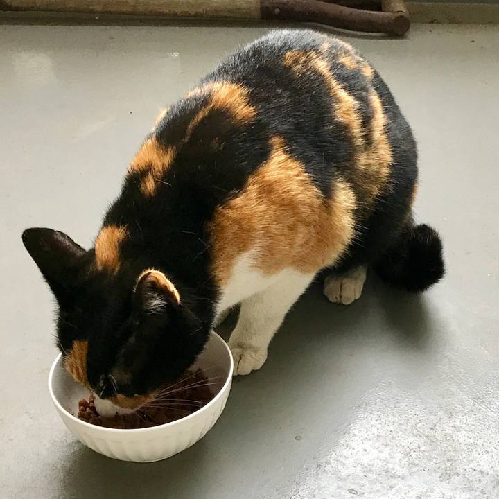 18260b6b 13fd 412d 87a0 bbbecb274246