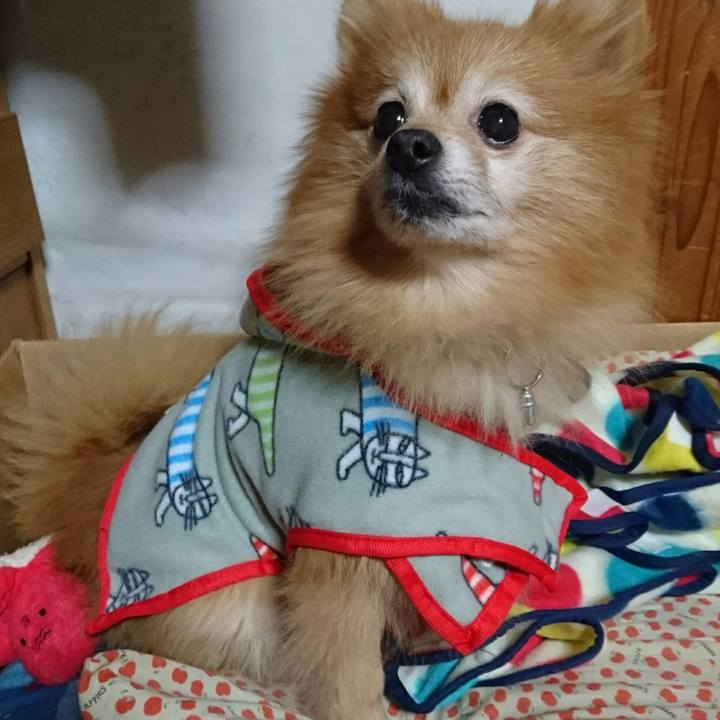 1826388b e5d3 4c95 be0f d998bb673e15