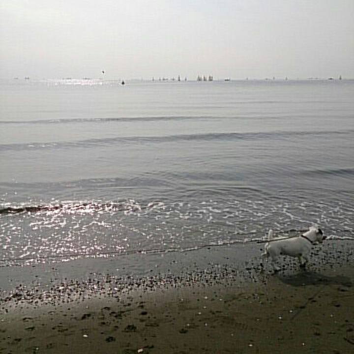 1826cae6 2eef 46ff bbd1 c5db3a344b66