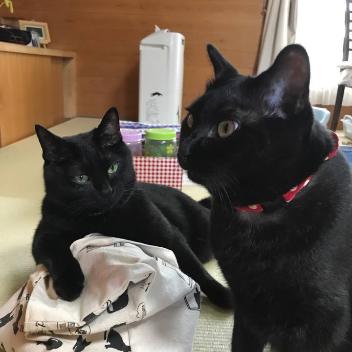 1827b505 00a8 4590 b3c7 c07900f28511