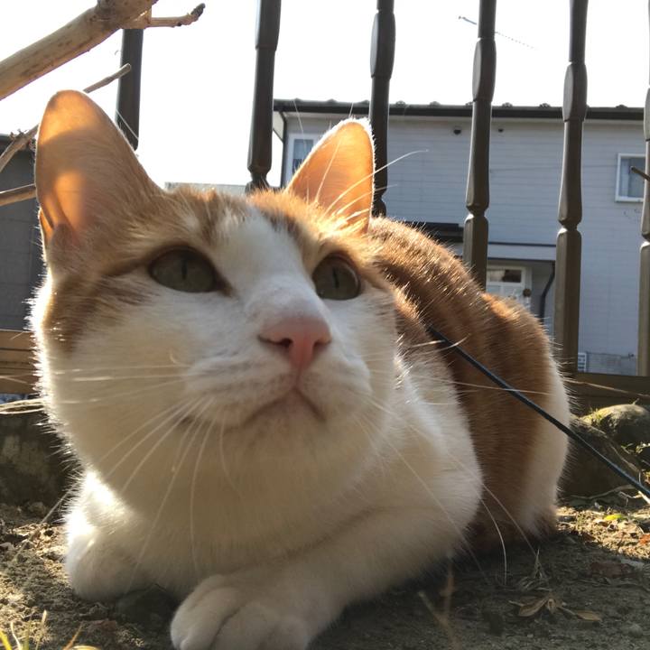 1827cfb1 f4d1 4e9d 97d6 64d23bc3a84a