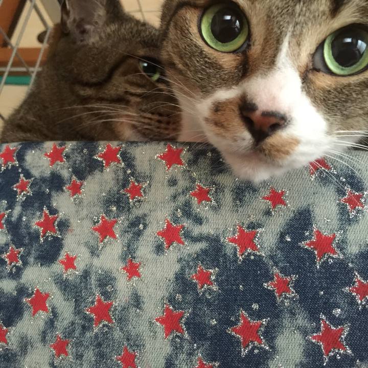 18281073 fc65 4cdc b774 fdc201006a7b