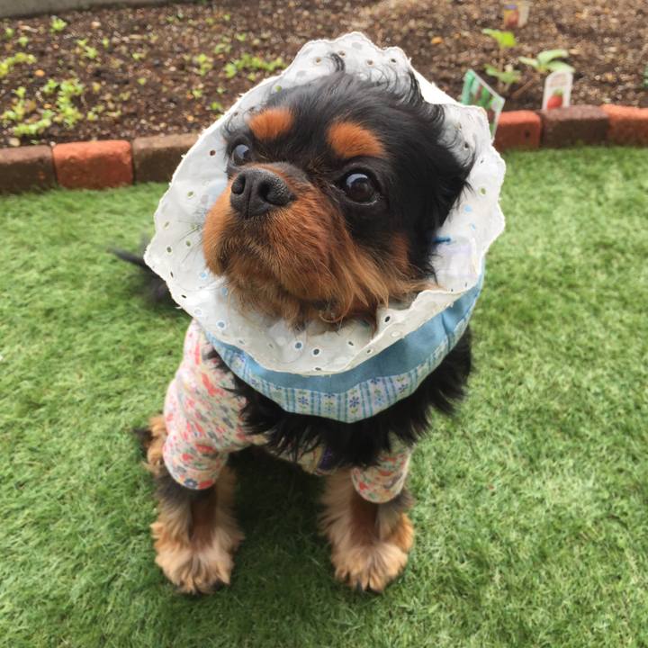 18283982 e299 49e2 bf7a 53df197fe157