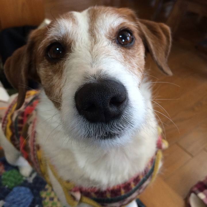 1828ca0b 4353 4640 b531 dbcc6c36dcb3