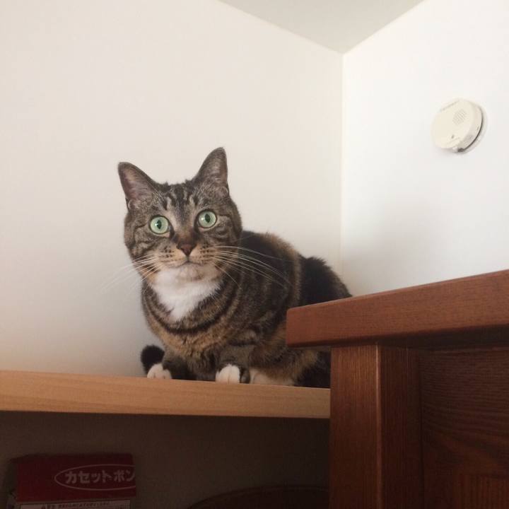 1828d526 7da9 4dee bab5 34679a5677d4