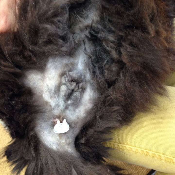 1828df07 b032 48ea 8250 5e7f1c1e8b6d