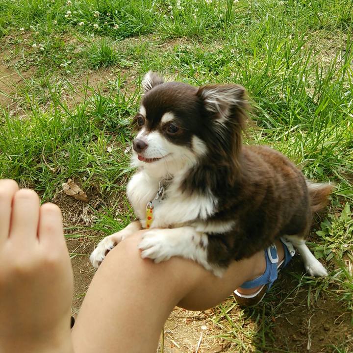 1829733a 217b 4de8 bc72 78a852f73427