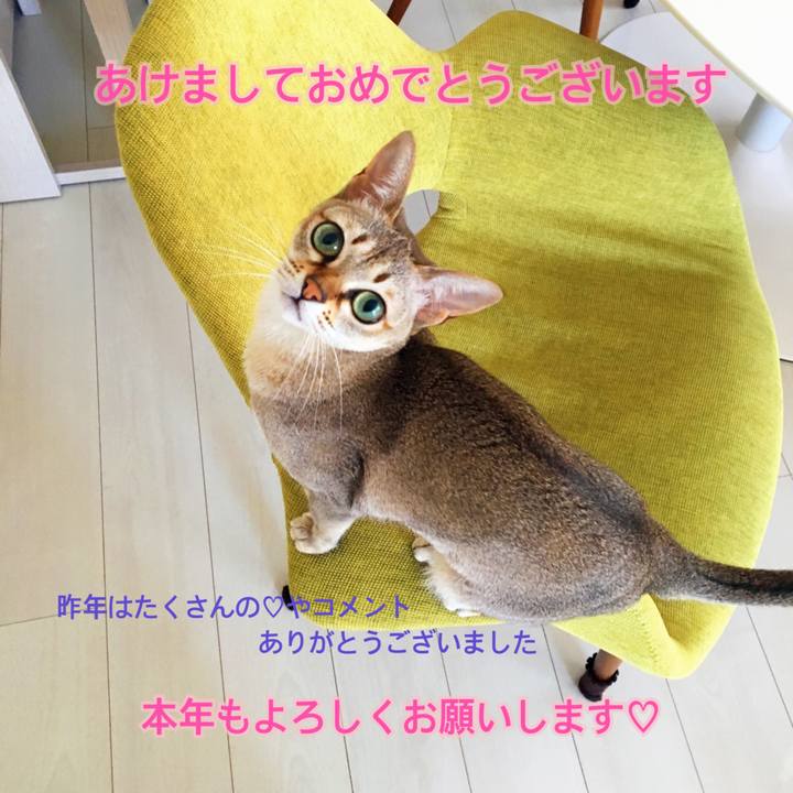 1829a5b1 3bd0 4e3e 8a7e 4198bbdf12c4