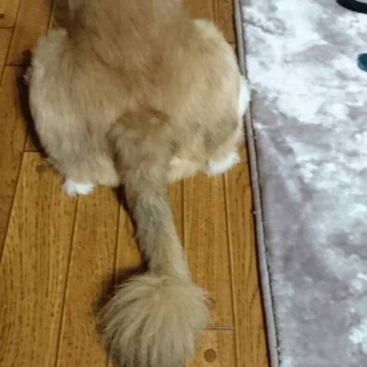 182a1f48 1baf 433c a68e 5bcbc0093183