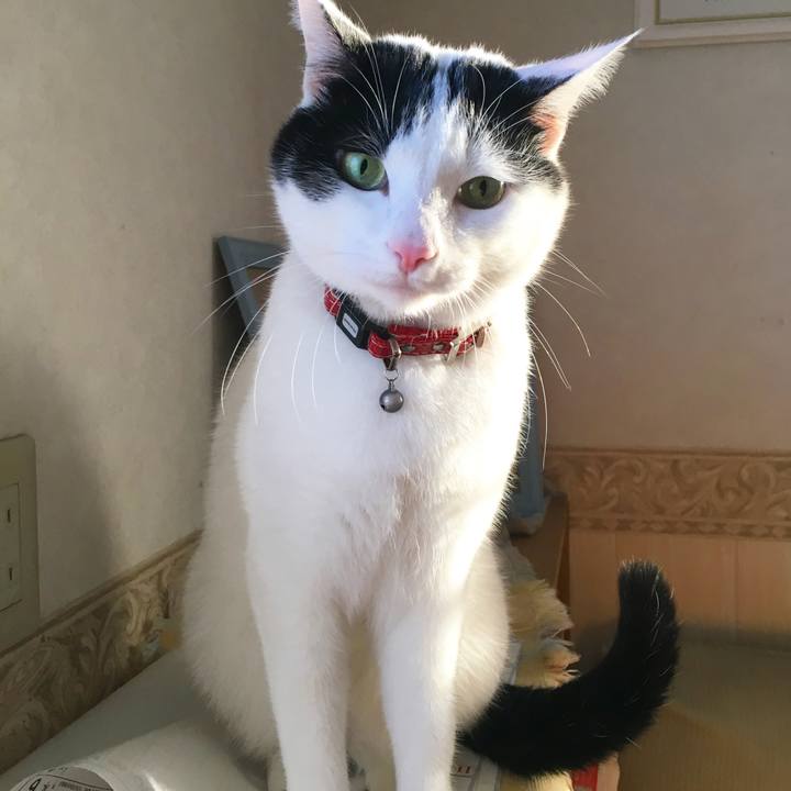 182a2f25 6962 4d80 93a1 c9147ae1706d