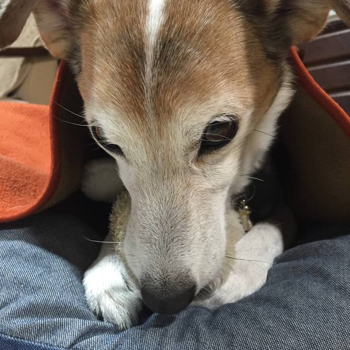 182aa18c 834e 4325 ba44 7c6653e305b1