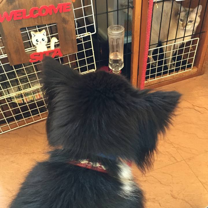 182ad828 11df 4ace 920d 32666b21ff7f