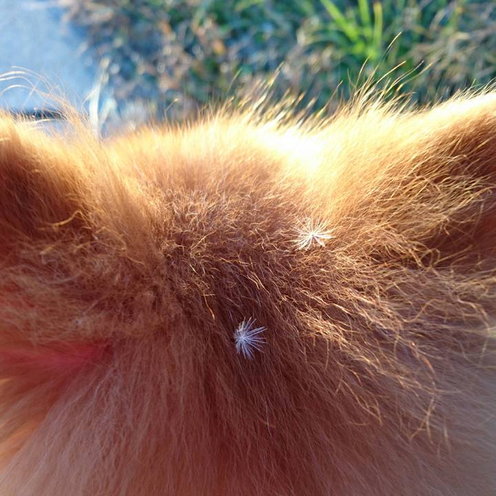 182b03aa 7894 4244 92fd 395ea5df40ff