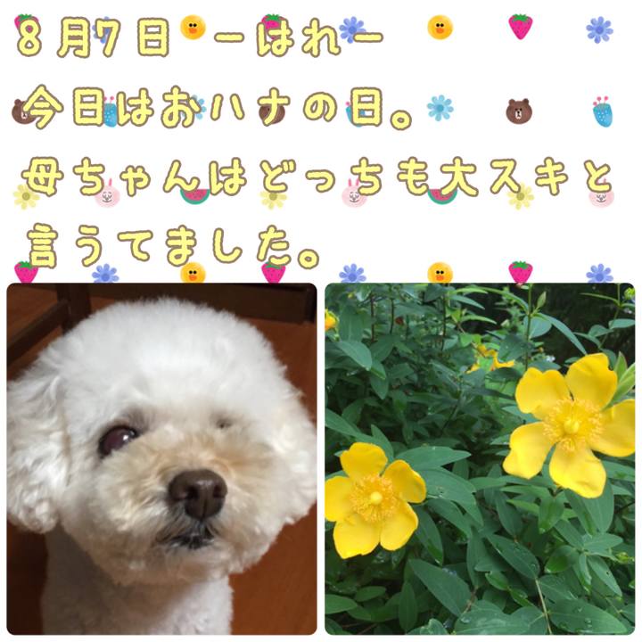 182b3a4b f4f4 4e7f 83e9 2b74ffef23cd