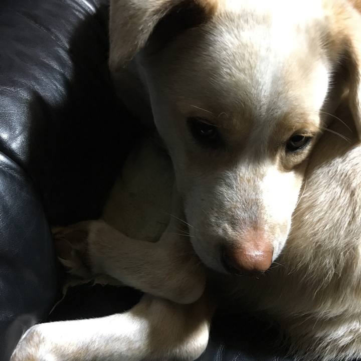 182bb169 e270 4216 a2af 52340cef5d55