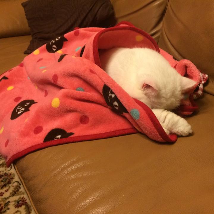 182c0dbb aecf 4822 b464 5e75b2b87ab9