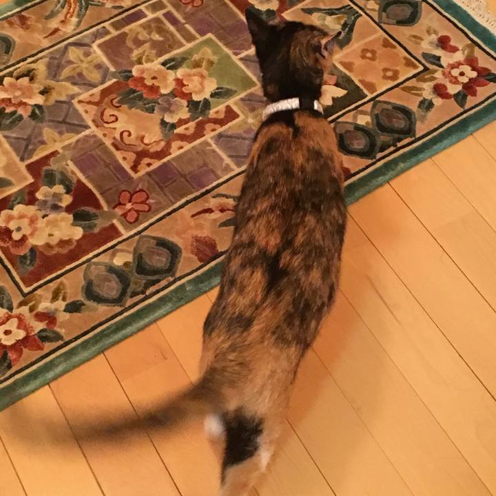 182c22ce ef8f 45df 97b6 b23a0da6c4ab